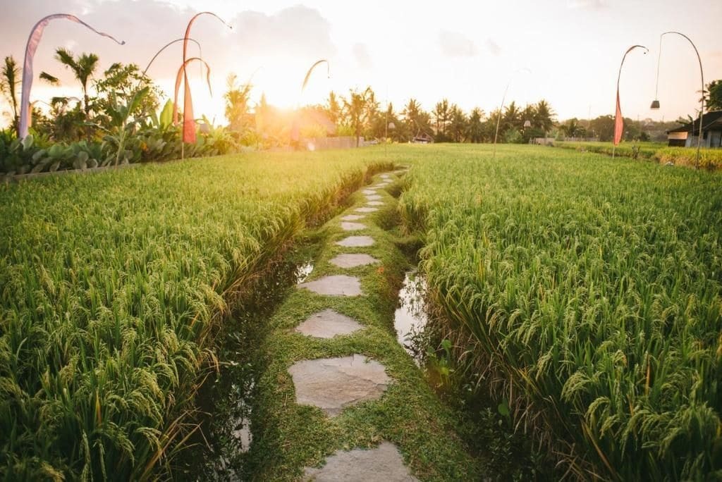 The Runik Ubud Exteriör bild